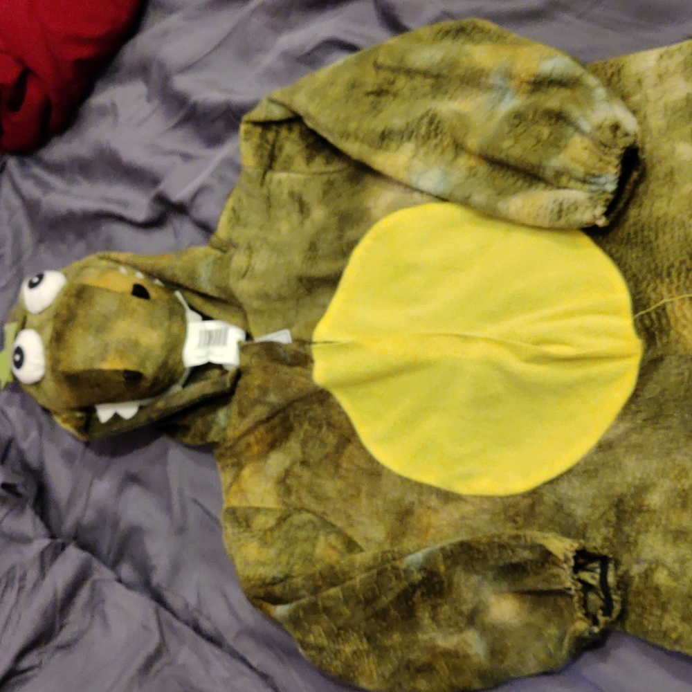 Dinosaur boys costume